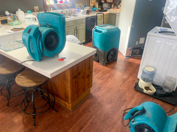 Best Flooded house restoration  in Mission Viejo, CA