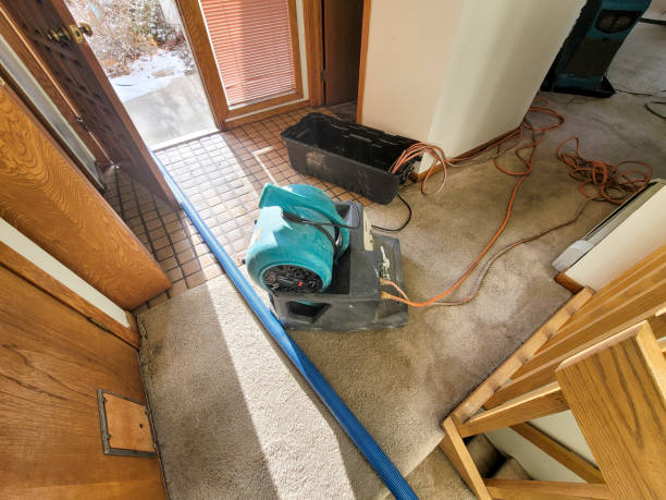 Best Commercial water damage restoration  in Mission Viejo, CA