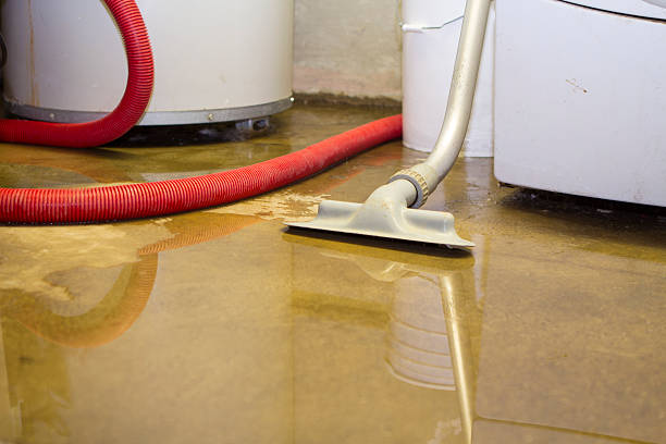 Best Water damage cleanup near me  in Mission Viejo, CA