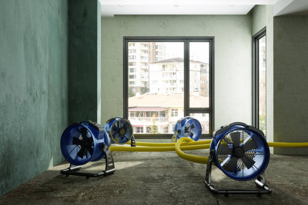 Best Carpet water damage restoration  in Mission Viejo, CA